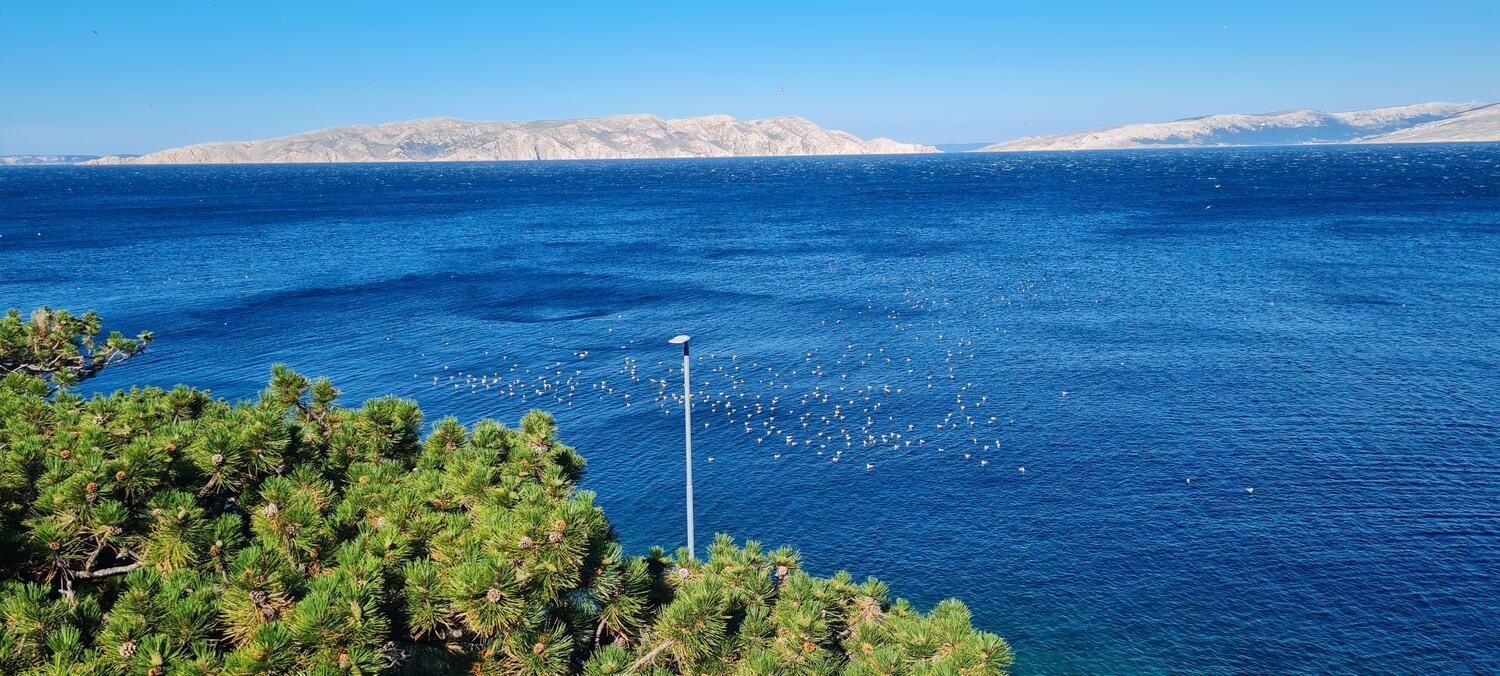 Apartmaji ob morju Sveti Juraj, Senj - 2399