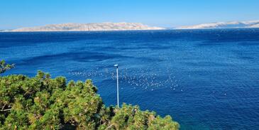 Apartmani uz more Sveti Juraj, Senj - 2399