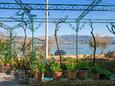 Mastrinka, Čiovo, Giardino 24018 - Appartamenti affitto vicino al mare con la spiaggia ghiaiosa.