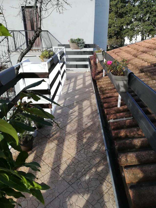 Giardino - Appartamenti con parcheggio Zaravecchia - Biograd na Moru, Biograd