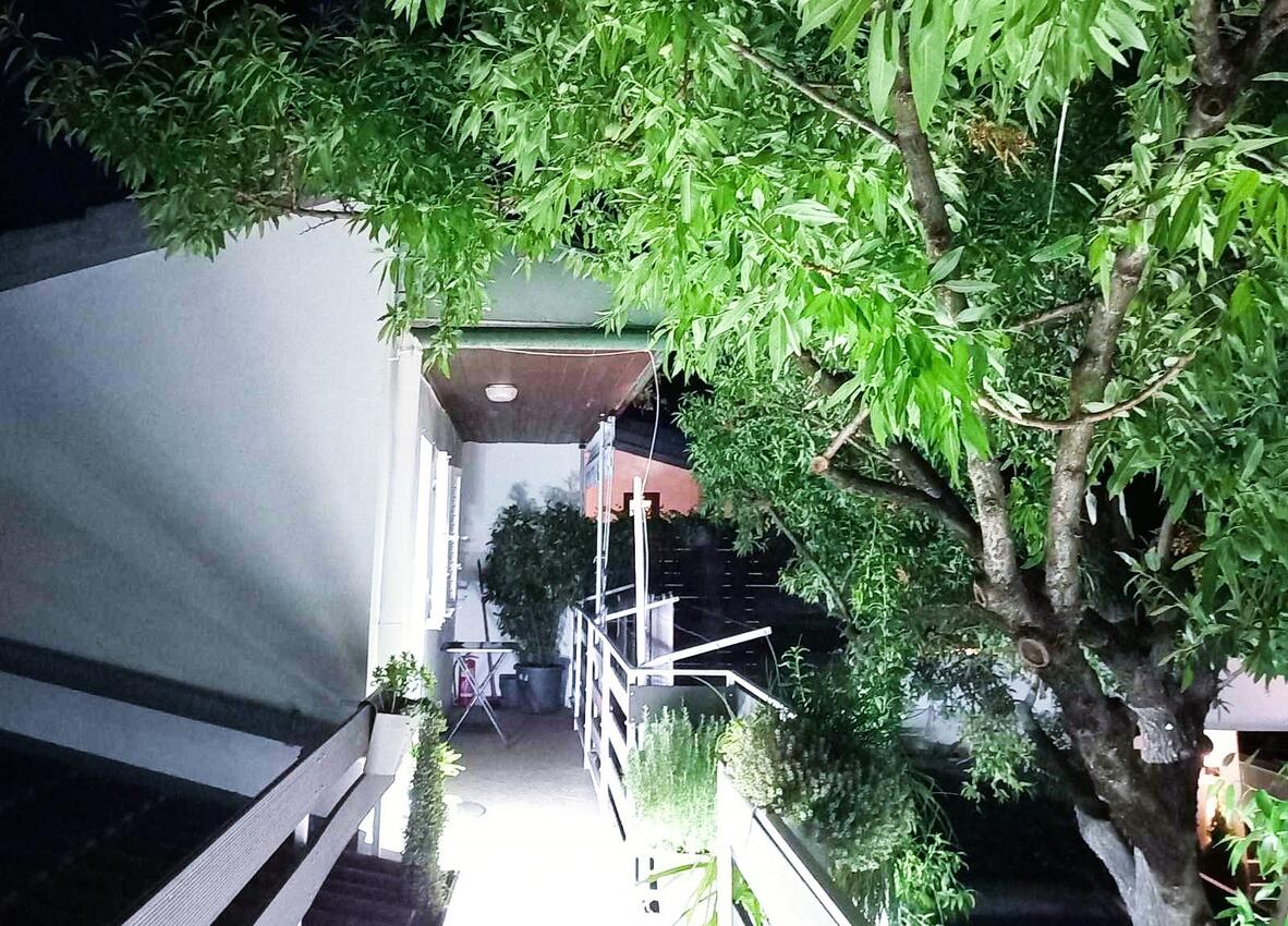 Giardino - Appartamenti con parcheggio Zaravecchia - Biograd na Moru, Biograd