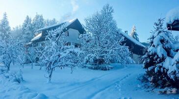 Holiday house with a parking space Srednja Draga, Gorski kotar - 24140 Adriatic.hr