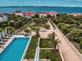 Rodinné apartmány s bazénem Mandre, Pag - 24196