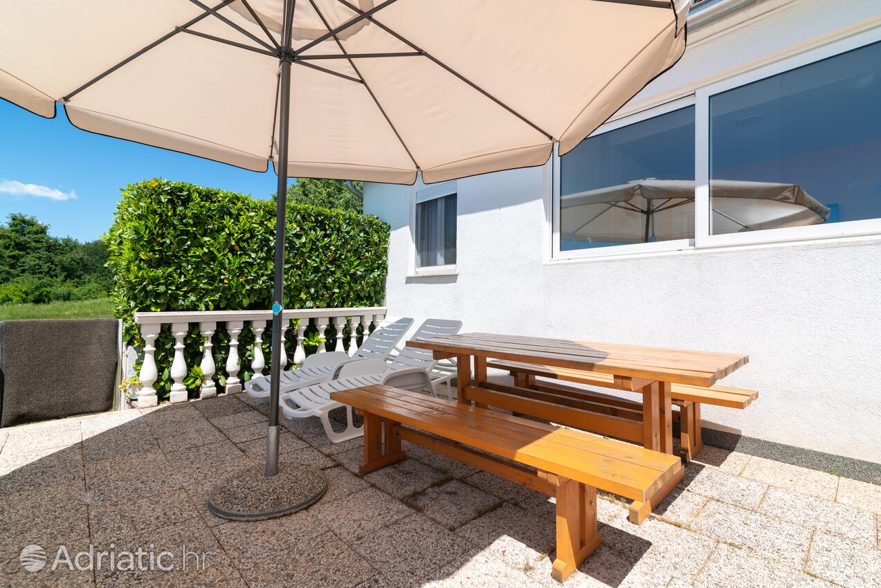 Appartementen met zwembad geschikt voor gezinnen met kinderen Cancini, Porec - 24335