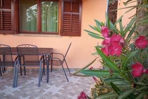 Appartamento di una stanza Rovanjska Appartamento di una stanza Rovanjska, Paklenica (A-24348-a)