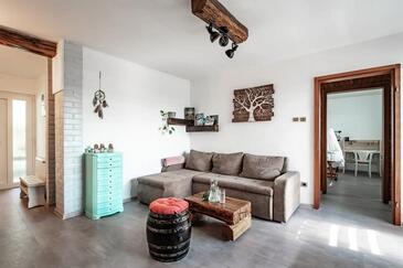 Šandrovac, Living room in the apartment, air condition available, (pet friendly) and WiFi.