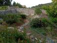 Veli Lošinj, Lošinj, Giardino 24371 - Appartamenti affitto vicino al mare.