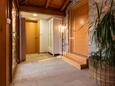 Solaris, Коридор в размещении типа house, WiFi.