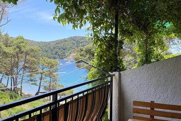 Apartments by the sea Cove Saplunara, Mljet - 24404