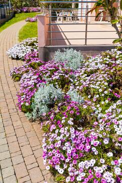 Apartments with parking space Baška, Krk - 24415