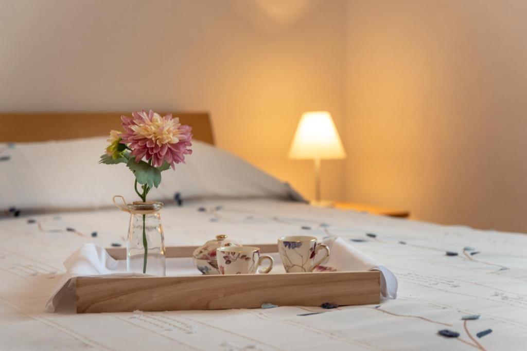 Appartamenti con piscina Seget Vranjica, Traù - Trogir - 24447