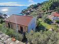 Ubytování Torac (Hvar) - 24462