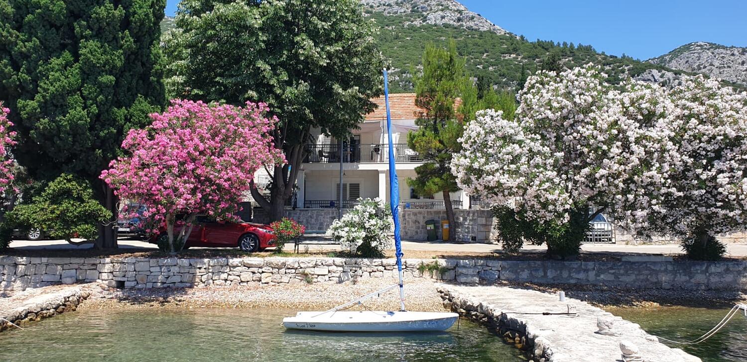 Ferienwohnungen am Meer Viganj, Peljesac - 24522