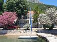 Apartmaji Viganj (Pelješac) - 24522