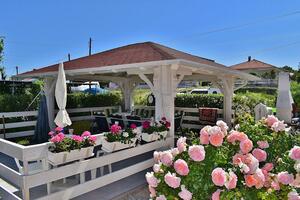 Apartmani s parkingom Barbat, Rab - 24547