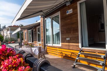 Family-friendly apartments with swimming pool Donji Zagon, Novi Vinodolski - 24555