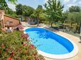 Stranići, Poreč, Giardino 24558 - Appartamenti affitto con la spiaggia ghiaiosa.