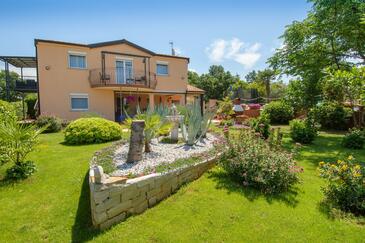 Stranići, Poreč, Alloggio 24558 - Appartamenti affitto con la spiaggia ghiaiosa.
