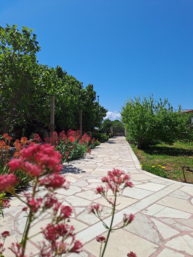 Apartmány s parkovištěm Sućuraj, Hvar - 24563
