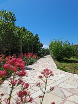 Apartmani s parkingom Sućuraj, Hvar - 24563