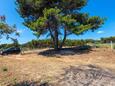 Kurila, Lošinj, Parking lot 24571 - Apartments by the sea with rocky beach.