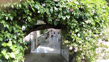 Apartments by the sea Cove Rogačić, Vis - 2460