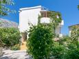 Igrane, Makarska, Объект 24626 - Апартаменты вблизи моря с галечным пляжем.