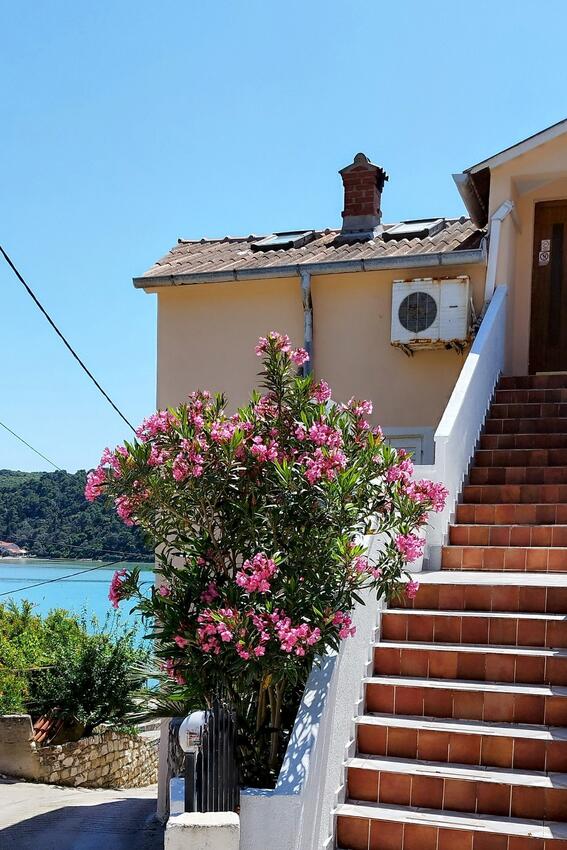Appartamenti accanto al mare Kampor, Arbe - Rab - 24630