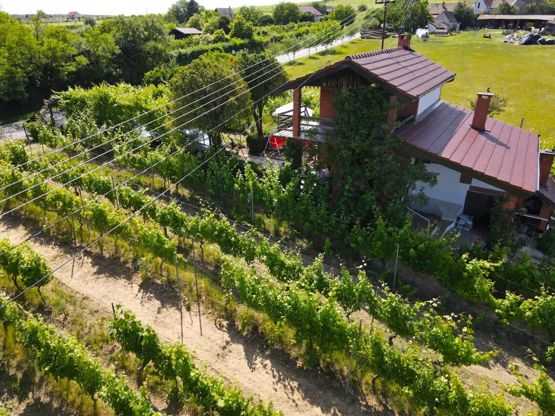 Ferienhaus mit Parkplatz Mandićevac, Slavonija - 24644