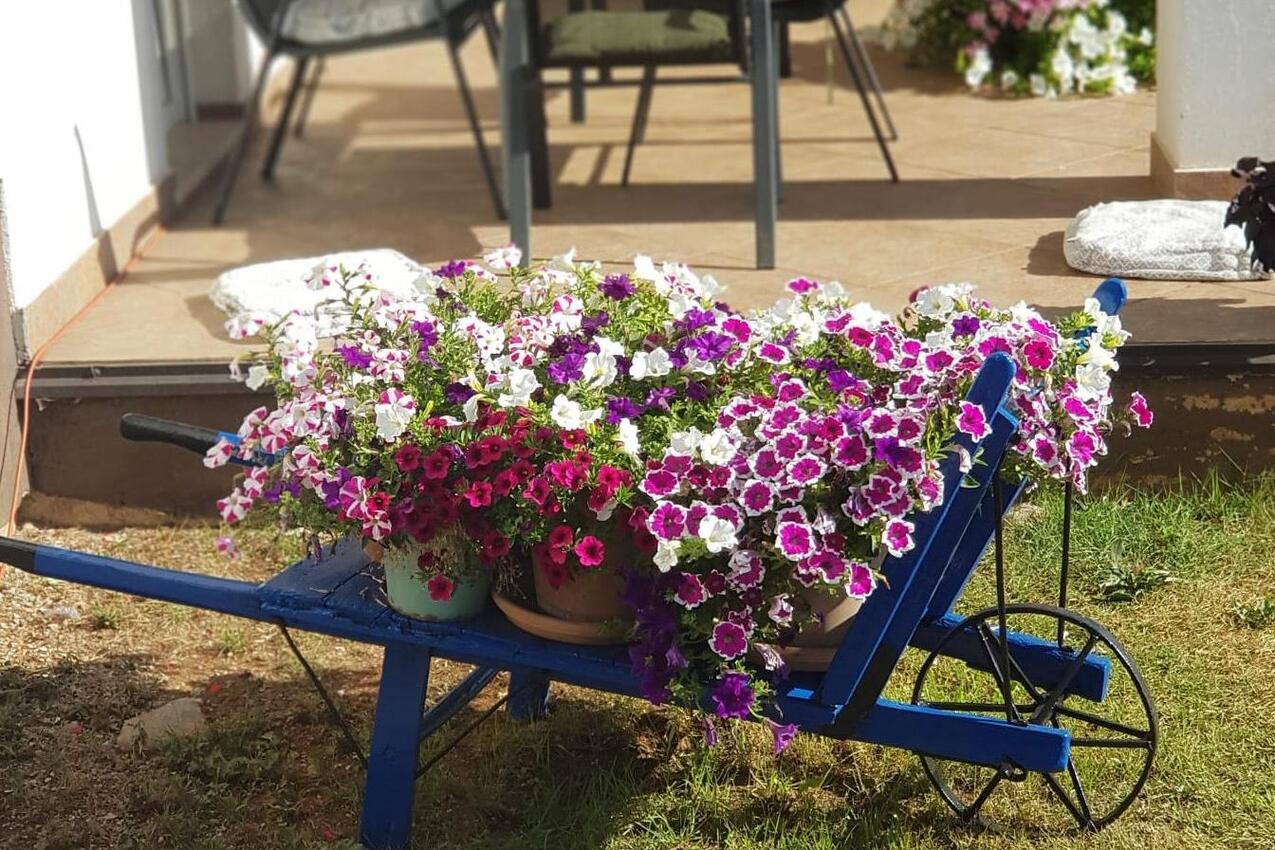 Ferienwohnungen mit Pool für Familien Lovran, Opatija - 24675