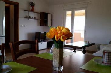 One bedroom apartment Sveti Filip i Jakov, Biograd (A-24707-c(