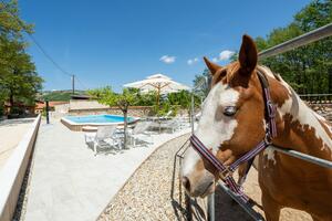 Haus mit Pool für Familien Maovice, Zagora - 24726
