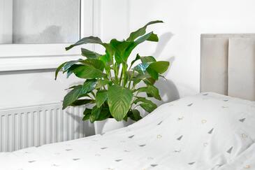 Studio apartments Zagreb, Continental Croatia