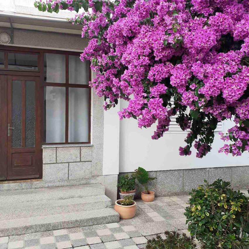 Apartamentos con parking Rab - 24792