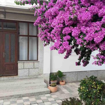 Apartmány s parkovištěm Rab - 24792 Adriatic.hr