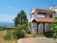 Appartamenti affitto Punat (Krk) - 24812