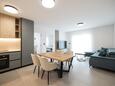 Privlaka, Camera de zi în unitate de cazare tip apartment, aer condiționat disponibil şi WiFi.