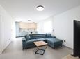 Privlaka, Nappali szállásegység típusa apartment, légkondicionálás elérhető és WiFi .