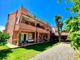 Appartamenti affitto Novigrad (Novigrad) - 24877