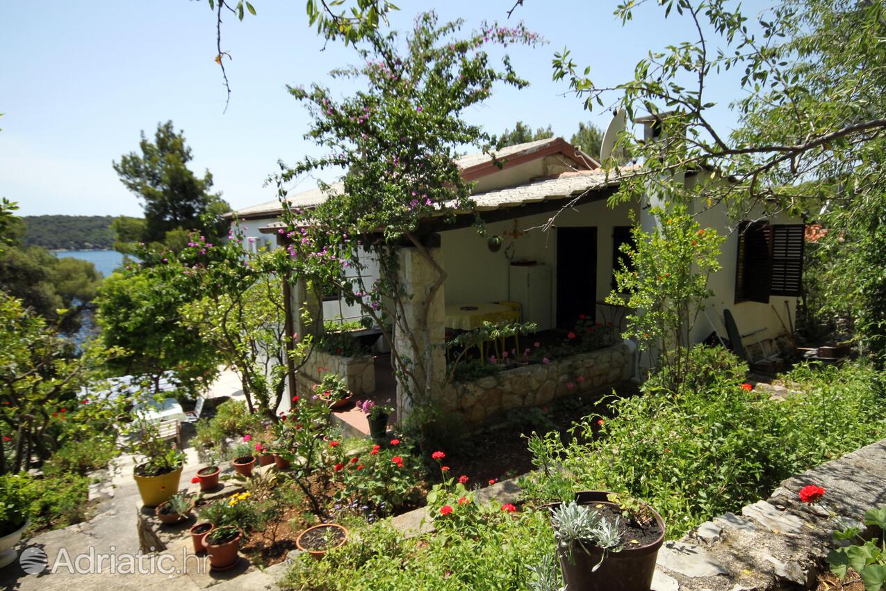 Ferienwohnungen am Meer Mali Losinj, Losinj - 2493