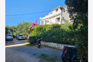 Appartamenti accanto al mare Barbat, Arbe - Rab - 24932