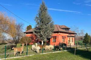 Dom s parkoviskom, pre rodinu Andrijaševci, Slavónsko - Slavonija - 24939