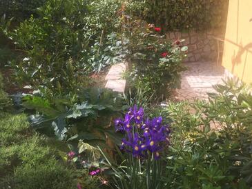 Apartments with parking space Mali Lošinj, Lošinj - 25040