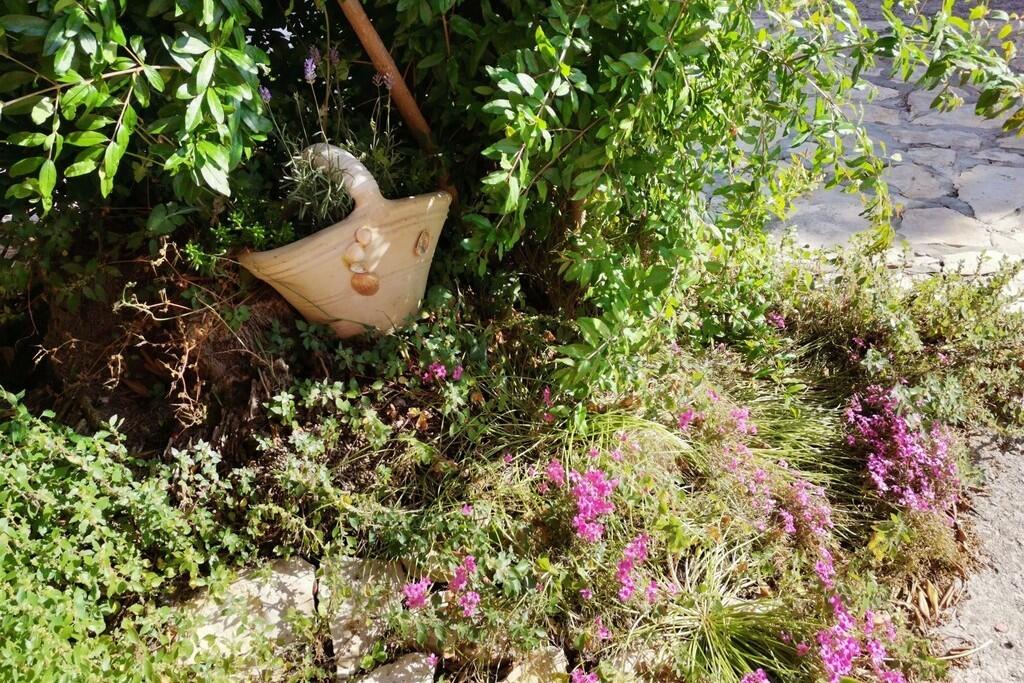 Apartments Rab, Kvarner