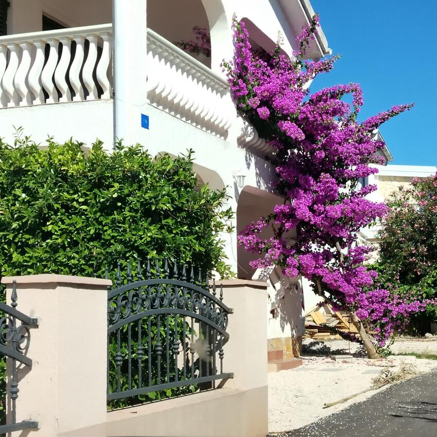 Apartment with terrace Vir, North Dalmatia