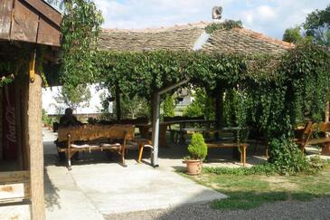 Lejligheder og værelser med parkering Bilje, Slavonija - 25232