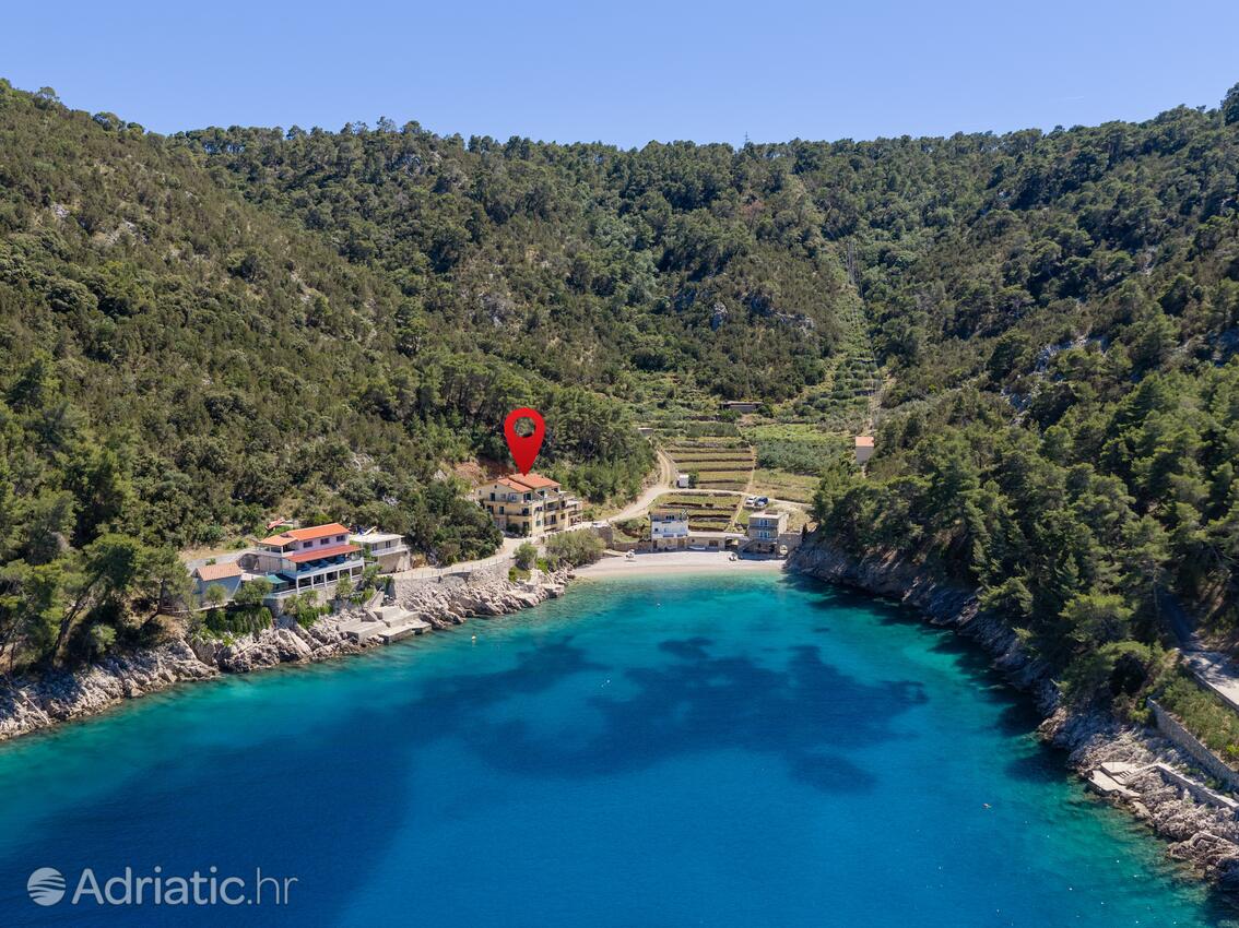 Ferienwohnungen am Meer Bucht Mala Pogorila, Hvar - 25261