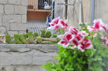 Apartments and rooms with WiFi Split - 25379 Adriatic.hr