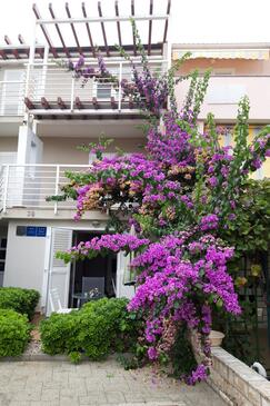 Apartamentos con parking Novalja, Pag - 25685