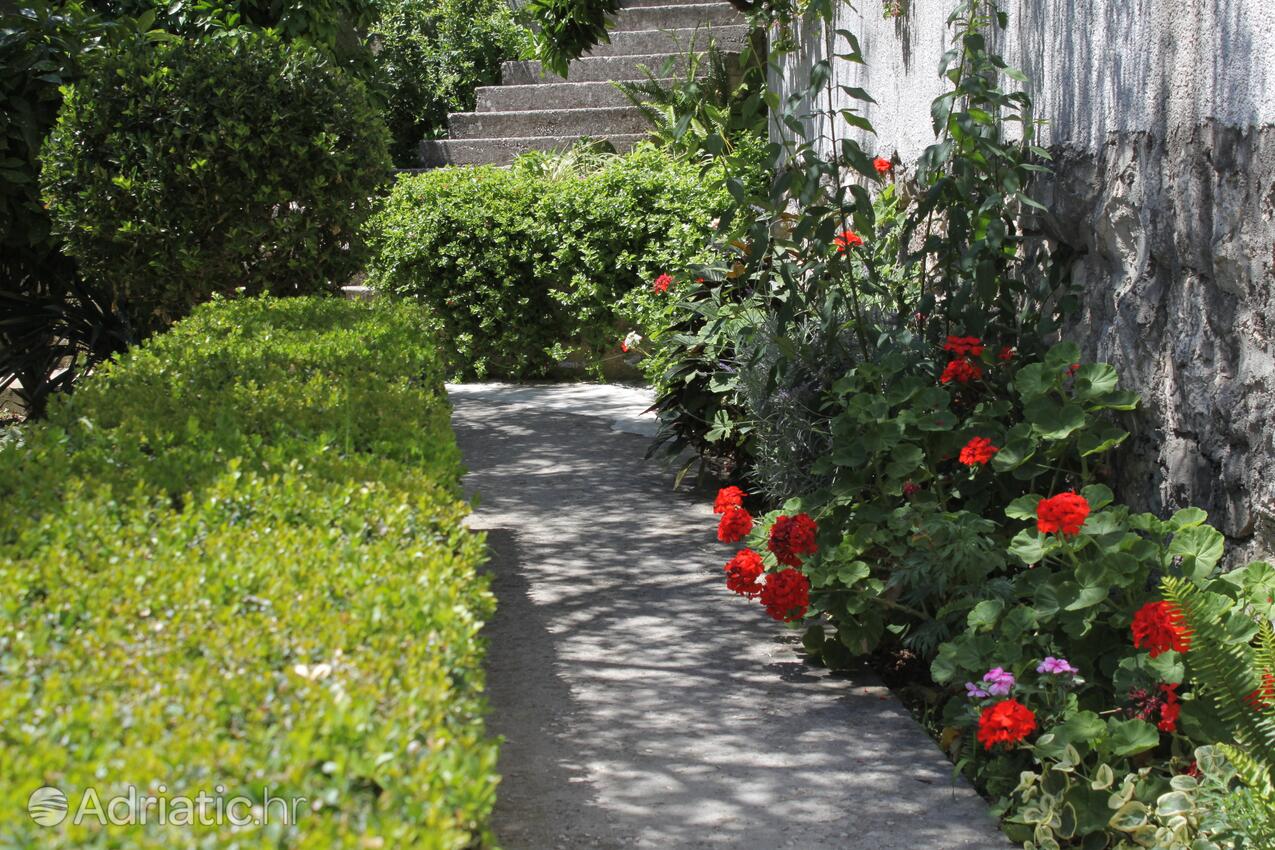 Giardino - Appartamenti accanto al mare Podgora, Macarsca - Makarska